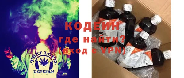 шишки Магас