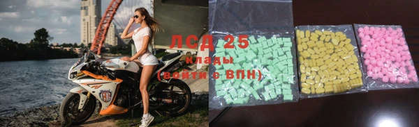 крисы Магадан