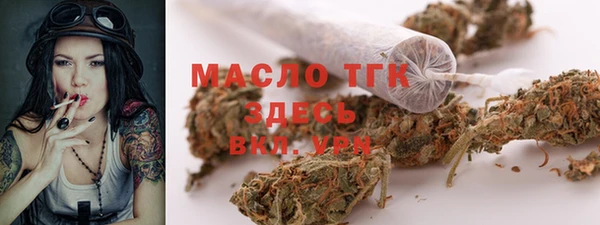 шишки Магас