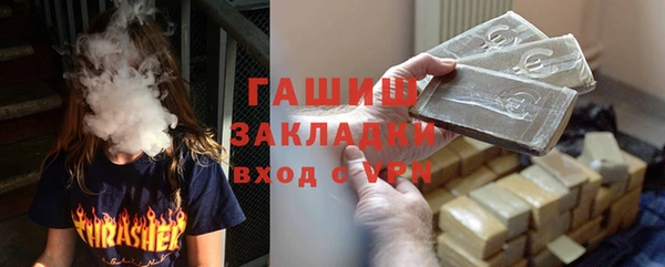 шишки Магас