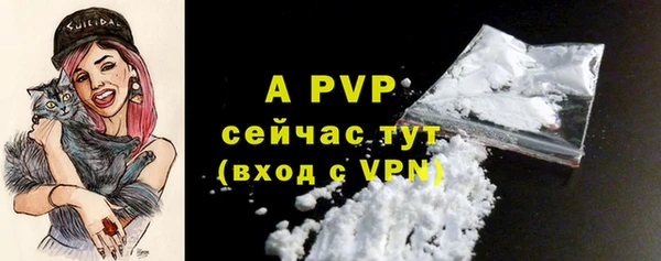 шишки Магас