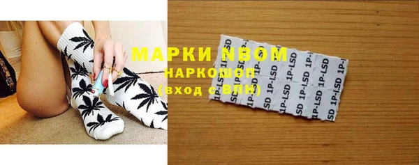 шишки Магас