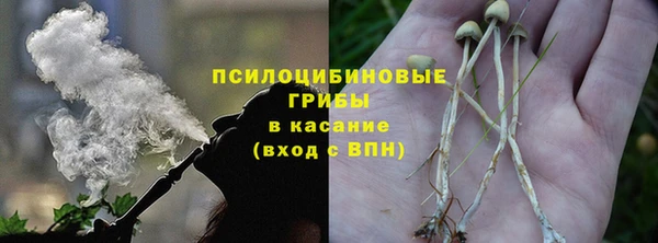 шишки Магас