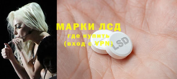 крисы Магадан