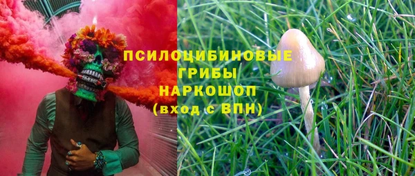 крисы Магадан