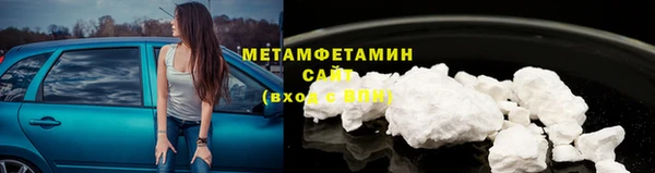 шишки Магас