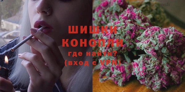 шишки Магас