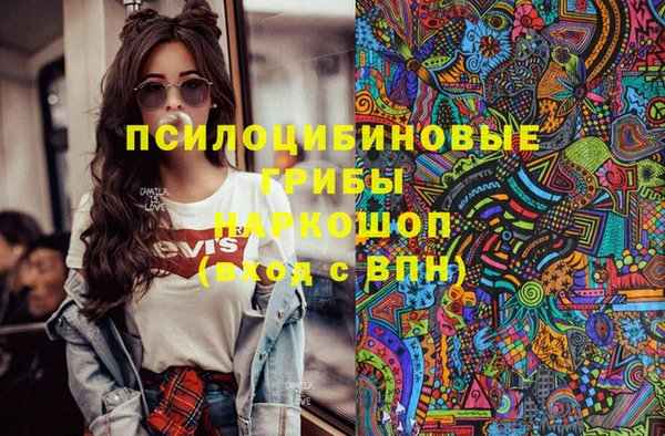 шишки Магас
