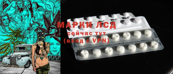 шишки Магас