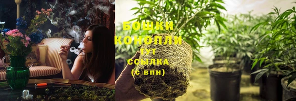 крисы Магадан