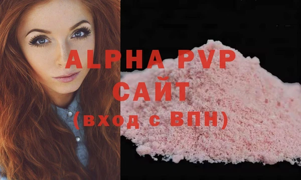 шишки Магас