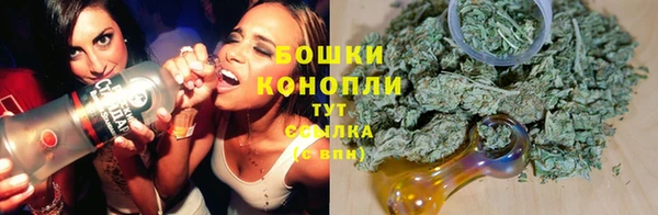 эйфоретик Майский