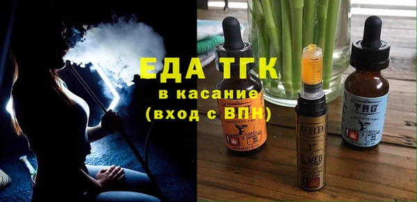 шишки Магас