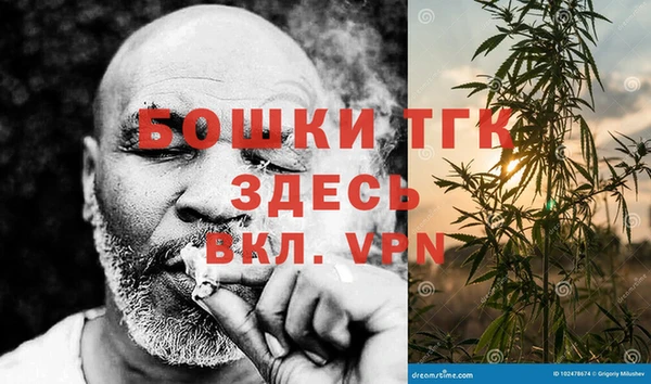 крисы Магадан