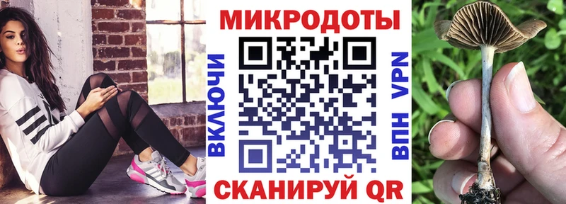 Купить где  Москва  Галлюциногенные грибы MAGIC MUSHROOMS 